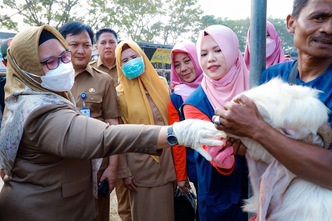 Pastikan Stok Dan Kesehatan Hewan Kurban, Wabup Gresik Bu Min Lakukan Inspeksi Jelang Idul Adha